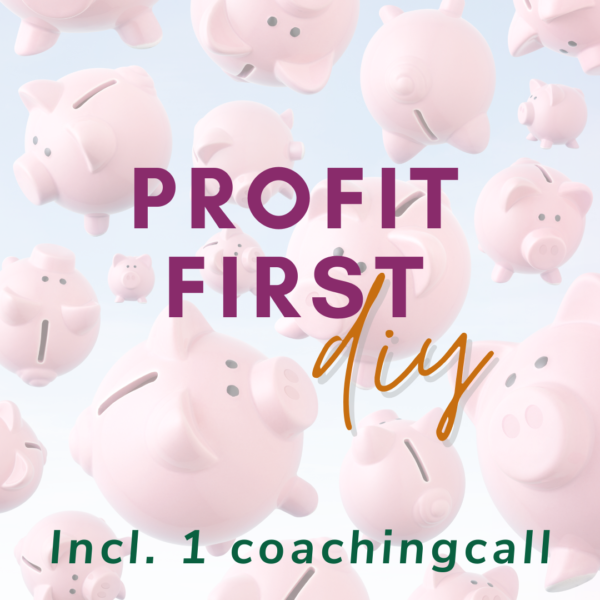 Een afbeelding met een achtergrond vol met roze spaarvarkens en de tekst Profit First diy incl. 1 coachingscall