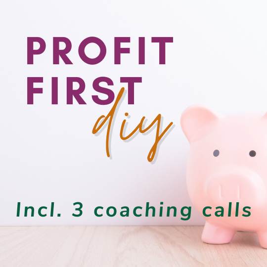 afbeelding met een roze varkensspaarpot met de tekst Profit First DIY incl. 3 coaching calls